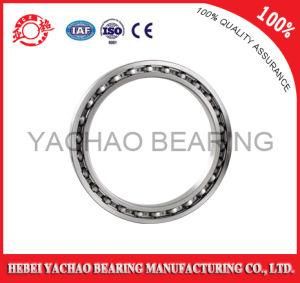 Deep Groove Ball Bearing (61818 ZZ RS OPEN)