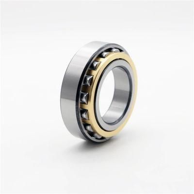 High Precision Cylindrical Roller Bearing Bearings N305 N305m N305etn1