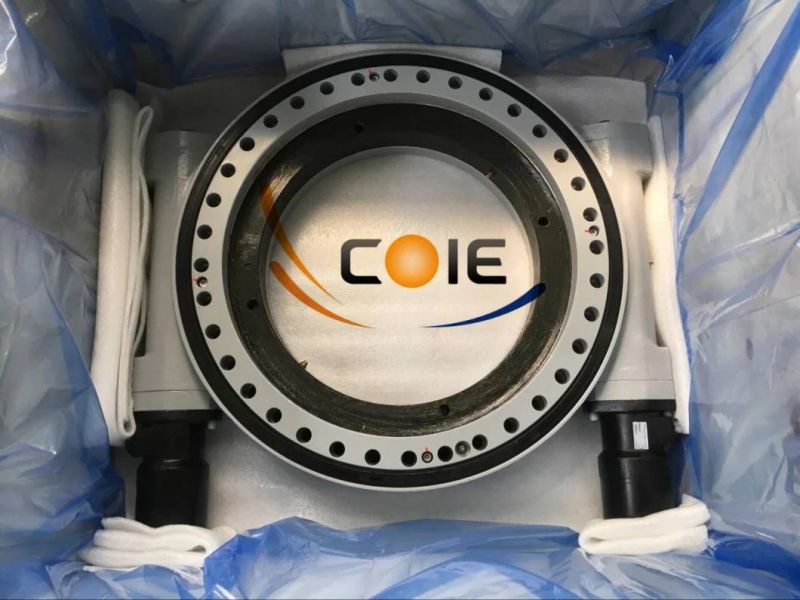 Worm Gear Slewing Drive for Truck Mounted Crane