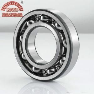 Big Size Deep Groove Ball Bearing (6038 2RS-6052 2RS)