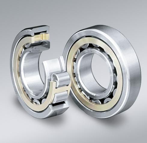 Cylindrical Roller Bearing Nup307 Cement Mixer PMP9y