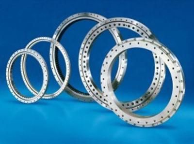 Torriani Gianni Swing Bearings Geared Rotary Bearings (TG I. 486.20.00. B) Interbal Teeth Slewing Bearing