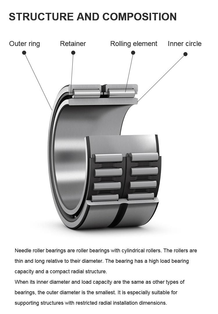Auto and Machine Parts Chrome Steel Bright Steel Cage Nav4005 Na4902A Ran4910A Na6906 IKO NTN NSK Koyo Needle Roller Bearing