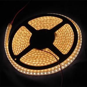 3528 10mm LED Lighting Waterproof IP65 DC Input RGB Commerical LED Strip Light