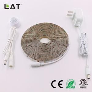 DC24V 1m IP65 SMD2835 Ww/Cw 30/60/120LEDs Flexible LED Strip Light with Sensor Can Adjust 30s to 10min