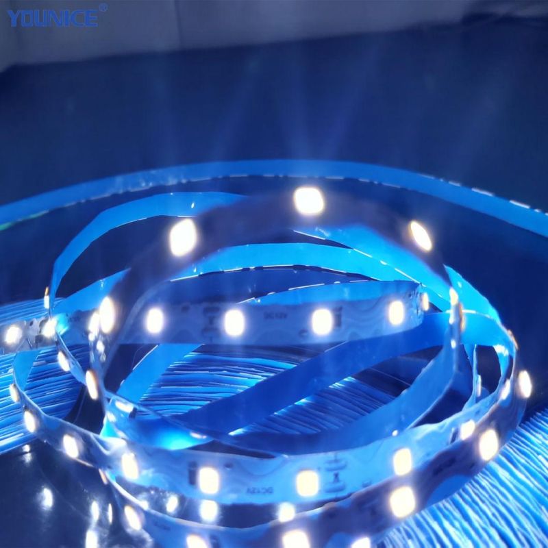 10m/Roll 100lm/W High Brightness DC12V SMD2835 Instant Delivery Flexible LED Strip