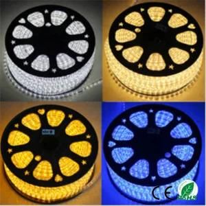 60LED/M 5050 LED Strip Light Outdoor &amp; Indoor LED Decorative Light Strip