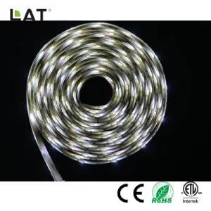 DC24V 5m IP65 Double CCT SMD5025 Ww and Cw 30/60/120LEDs Flexible LED Strip Light