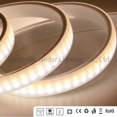 Double Color 110V/120V/220V/230V/240V CCT 2835-240p Double Row LED Strip Light LED Rope Light with Diffuse Lighting