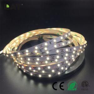 High Brightness DC12V 24V IP20 IP65 SMD2835 Ww Cw 1m 60LEDs Flexible LED Strip Tape Ce ETL UL