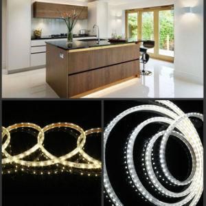 Waterproof IP67 Colorful 3528 LED Light for Home/Outdoor Lighting