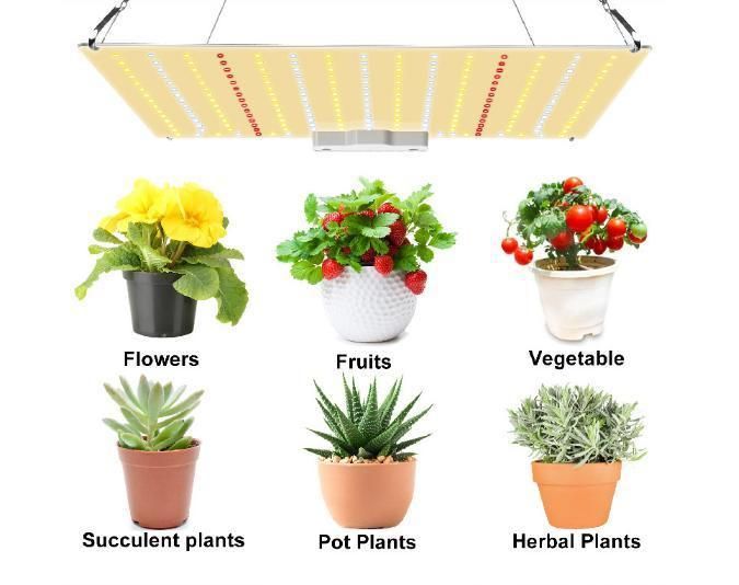 240W Sam-Sung Lm301h LED Growing Light