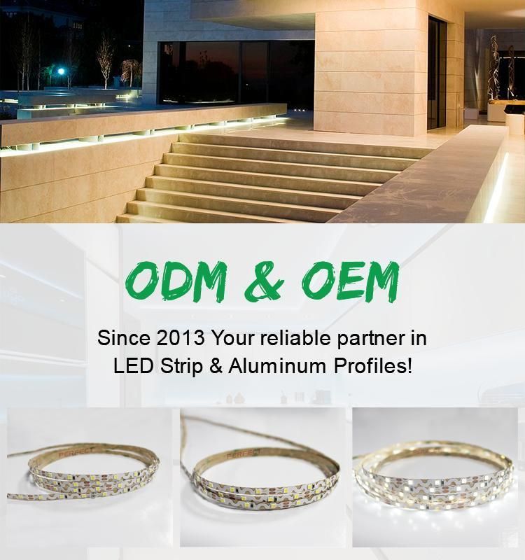 S Shape Bendable 2835 Snake LED Strip Light