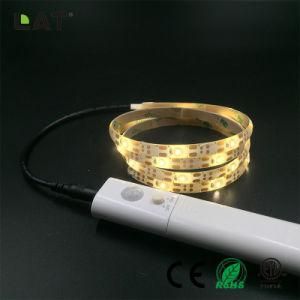 DC6V IP20 IP65 Ww Cw LED 2835 Flexible LED Strip/Tape Light Kit 5m with a Battery Box with Motion Sensor Ce/ETL/UL
