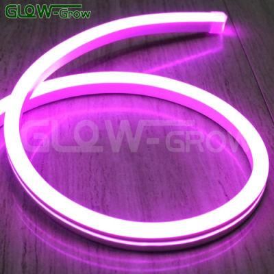 Indoor Outdoor Use 24V RGB Neon Flex Light for Christmas Outdoor Decoration