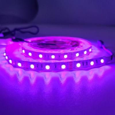 Bluetooth Connection Cx Lighting Good-Looking Yellow Strip for Living Room