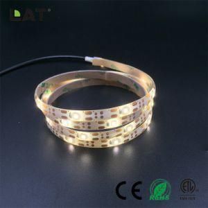 DC6V IP20 IP65 Ww Cw LED 2835 Flexible LED Strip/Tape Light Kit 1m with a Battery Box with Motion Sensor Ce/ETL/UL