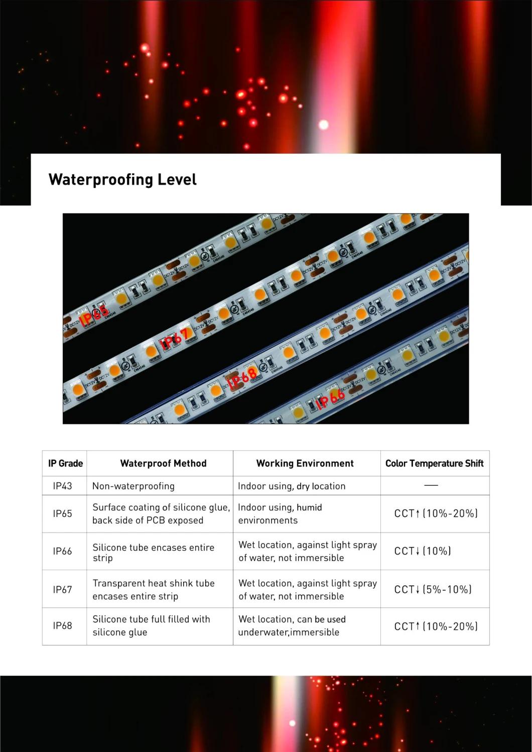 Variable Color Strip Decorative LED Strip Lighting