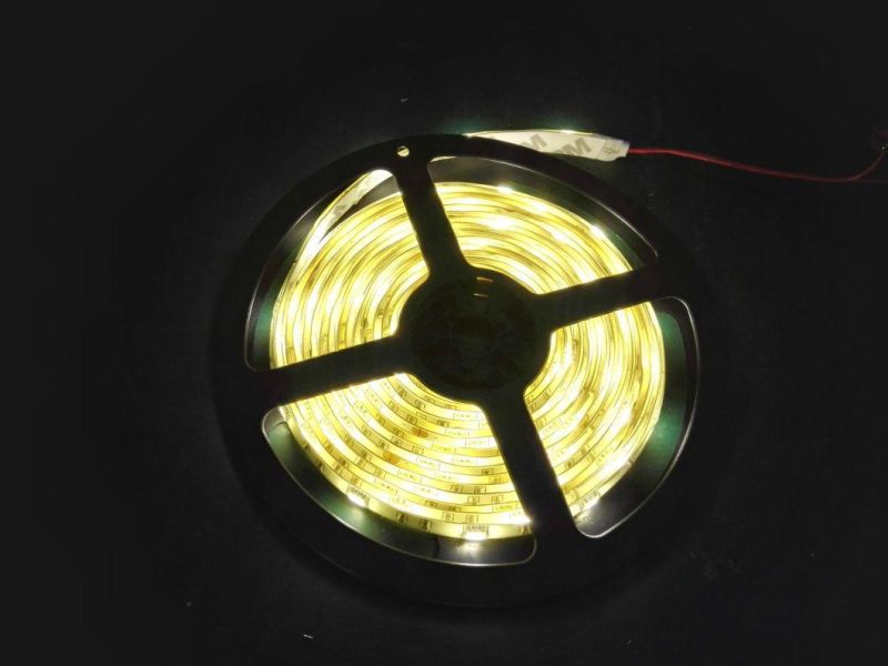 Whole Shaped LED Neon12V 24V White Color Decoration Rope Strip Flexible Lights