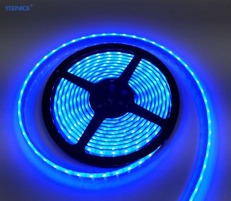 12mm Width Smart 5050RGBW LED Strip Colorful Dimmable WiFi Control LED Strip Lighting