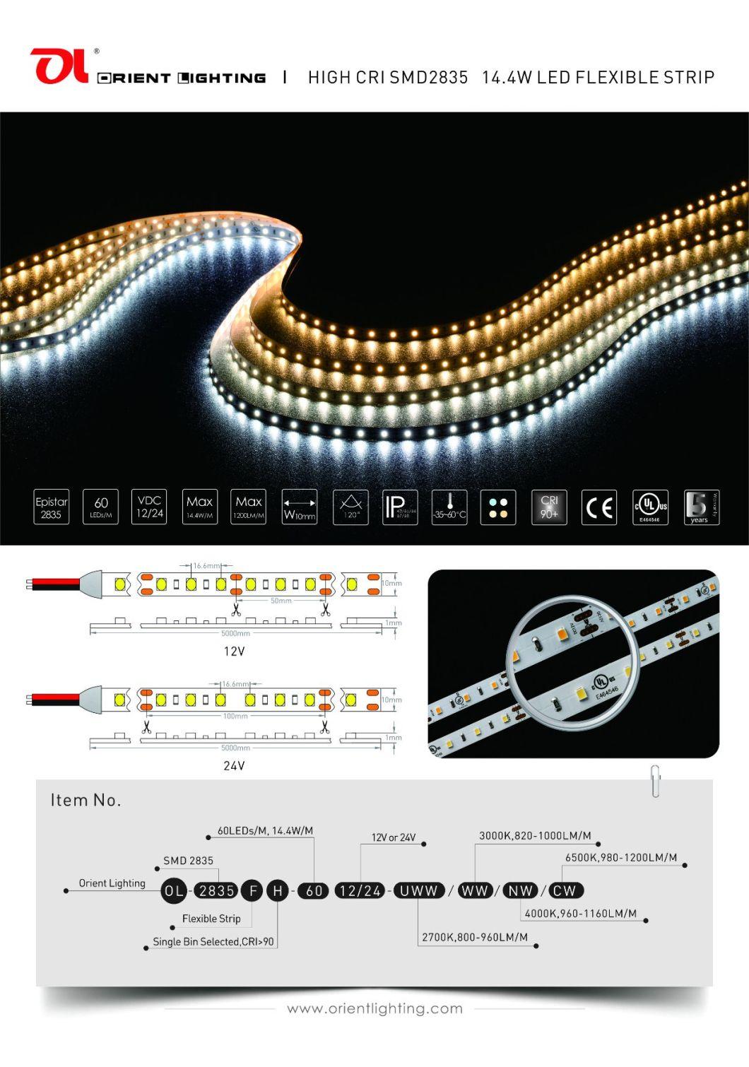 Premium Epistar Waterproof IP66 Silicone Tubing LED Strip Light