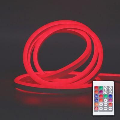 Christmas Decoration 110V/230V LED Flexible Colorful Light