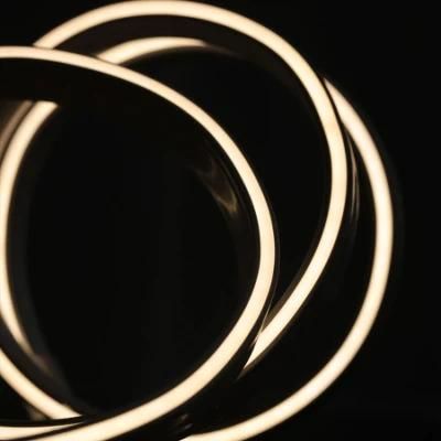 SMD LED Flex Strip Silicon LED Light Strip Neon for Outdoor Decorative Lighting