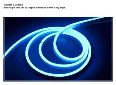 Outdoor Rope Lighting RGB LED Decoration Light
