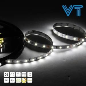 IP20 SMD 5050 White Flexible Strip Christmas Light