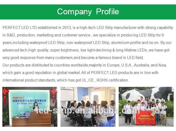 Flex LED Panel Sheet Special White Color Soft Panels Flexible Backlight Modules