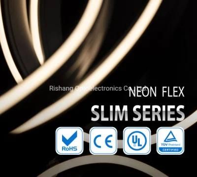 Waterproof IP 66 DC 12/24V LED 2835 Flexible Light Neon Strip with CE UL RoHS