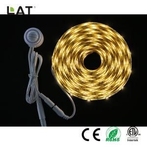 DC12V 5m IP20 Smart SMD5050 Ww 30/60/120LEDs Flexible LED Strip Light with Sensor Can Adjust 30s to 10min