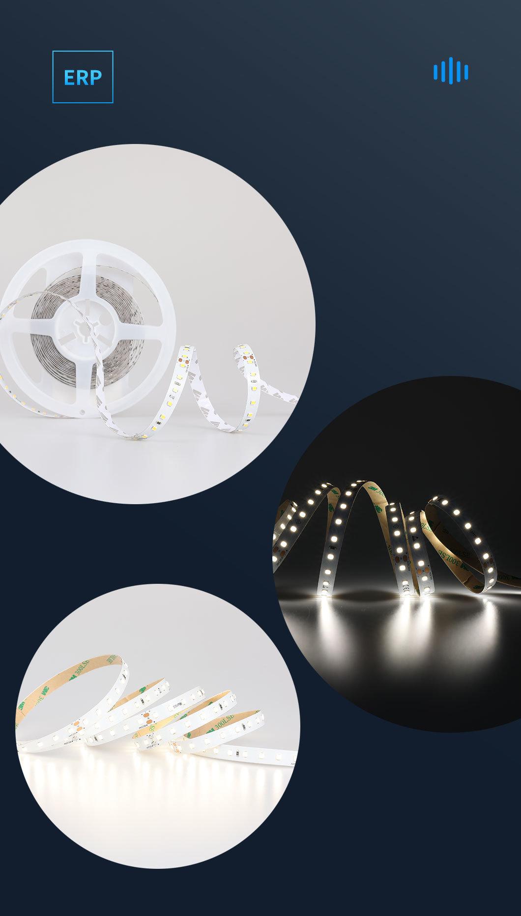 Ultra-High Luminous Efficacy 90LEDs/M 2700K LED Strip with ERP Standard LED Light Strips