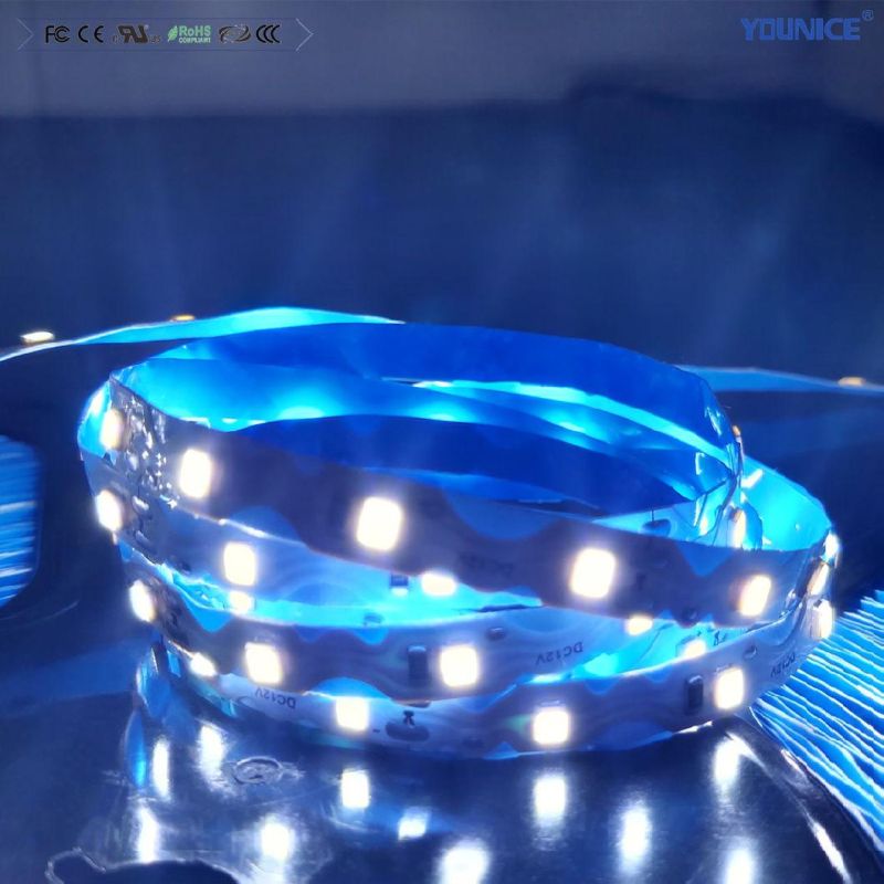 50m Per Roll LED Tape Lighting LED Strip