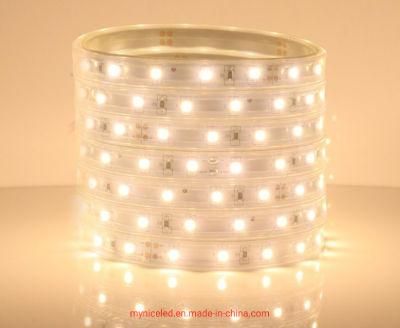 Ra80 12V 5mm Ultra Narrow RGB 120 PCS/M Cutting 25mm 3528 LED Light Strip