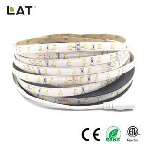 High Brightness DC12V 24V IP20 IP65 SMD2835 Ww Cw 10m 30LEDs Flexible LED Strip Tape Ce ETL UL