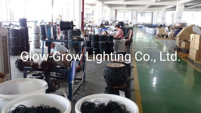 Warm White IP65 Waterproof Outdoor Use EU Market High Quality Christmas Customized LED String Lights with Blue Flash Bulb
