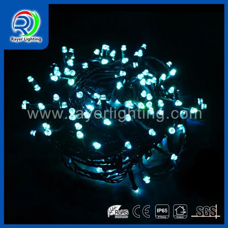 Holiday Decoration Outdoor Lighting LED String Light