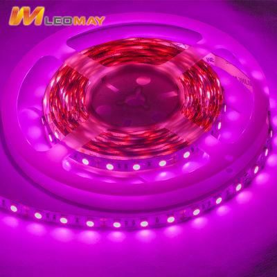 Pink Lighting LED Light Bar LED Light LED Strip Light