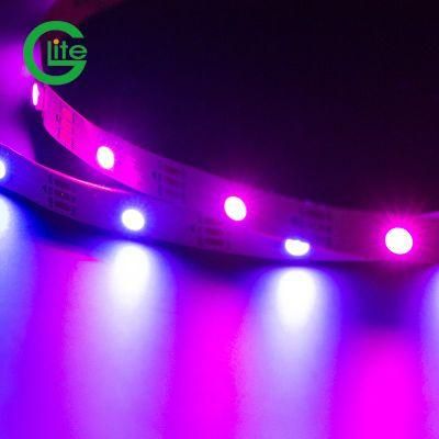 Addressable Ws2812 DC12V 30LED Flexible Programmable 5050RGB Magic LED Digital Strip