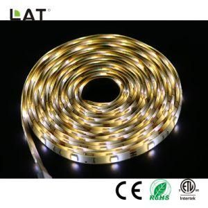 DC12V 3m IP20 High Brightness Double CCT SMD5025 Ww and Cw 30/60/120LEDs Flexible LED Strip Light