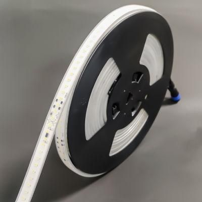 Various Styles of 230V Waterproof Pointless Flexible Natural White Light LED Strip/\Surface Light LED Strip