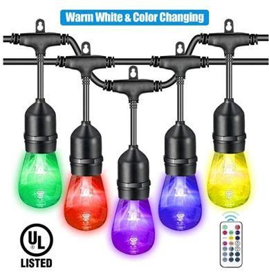 Color Changing Holiday String Lights Outdoor for Festoon Pole Decoration LED Festival Light