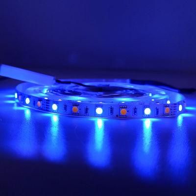 Multi Color Cx-Lumen China Supplier Advanced Design Blue Strip with CCC Good Service
