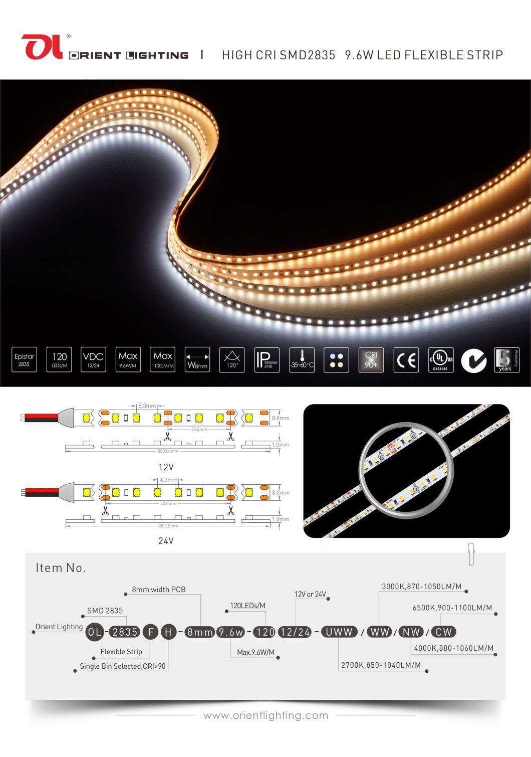 Waterproof LED Strip Interior Llilghting LED Decoration Light