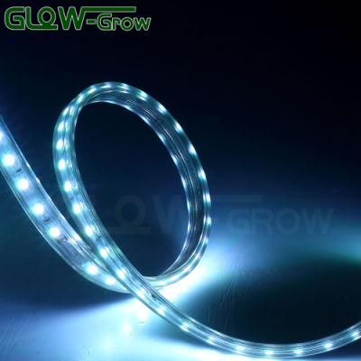 5050 60LEDs/M IP65 Waterproof 230V/110V RGB Sync LED Strip Light for Outdoor Project House Bridge Decoration