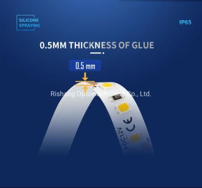 Waterproof IP65 Spray Silicone SMD2835 60LED Flexible LED Strip with 3 Years Warranty