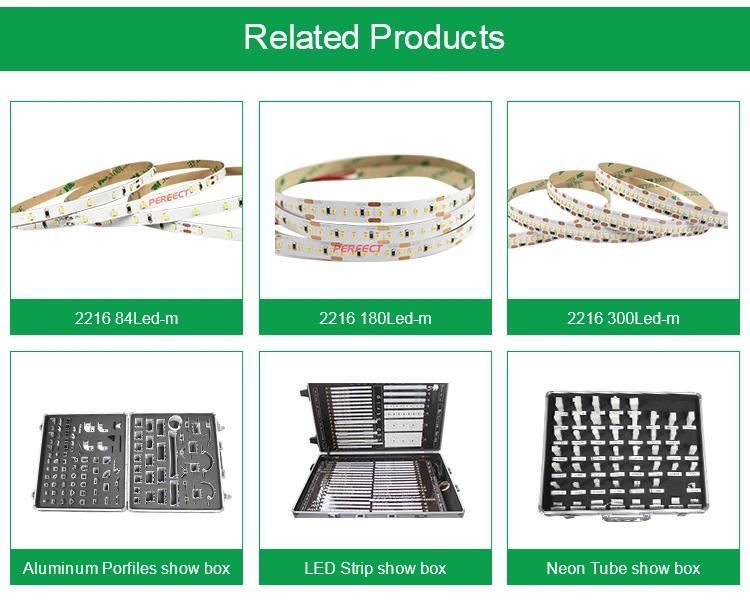 Hot Selling 168LED 10mm Width SMD2216 Strip CCT Flexible LED Strip