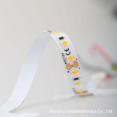 Silicone Casing Anti-UV Salt-Fog Proof 60LEDs DC12V White 2700K CE RoHS UL IP65 Waterproof Flexible LED Strip