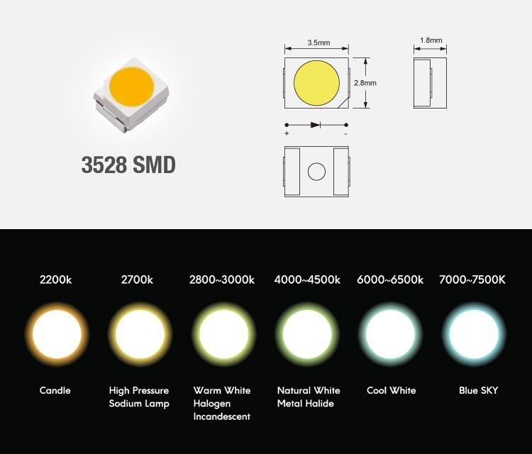 3years Warranty SMD3528 120LED DC24 Single Color Strip for Lighting Decoration